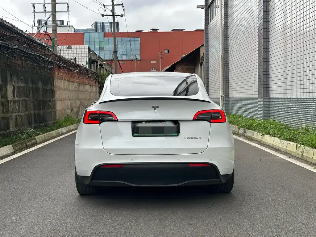 Tesla Model Y — фото 10