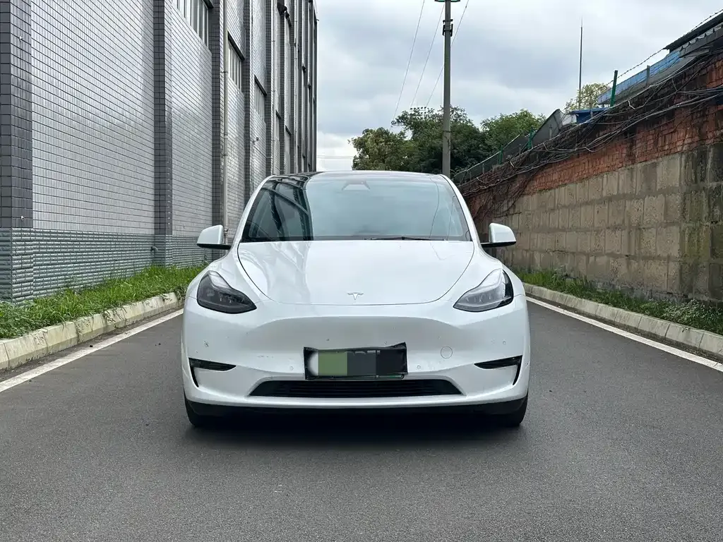 Tesla Model Y — фото 2