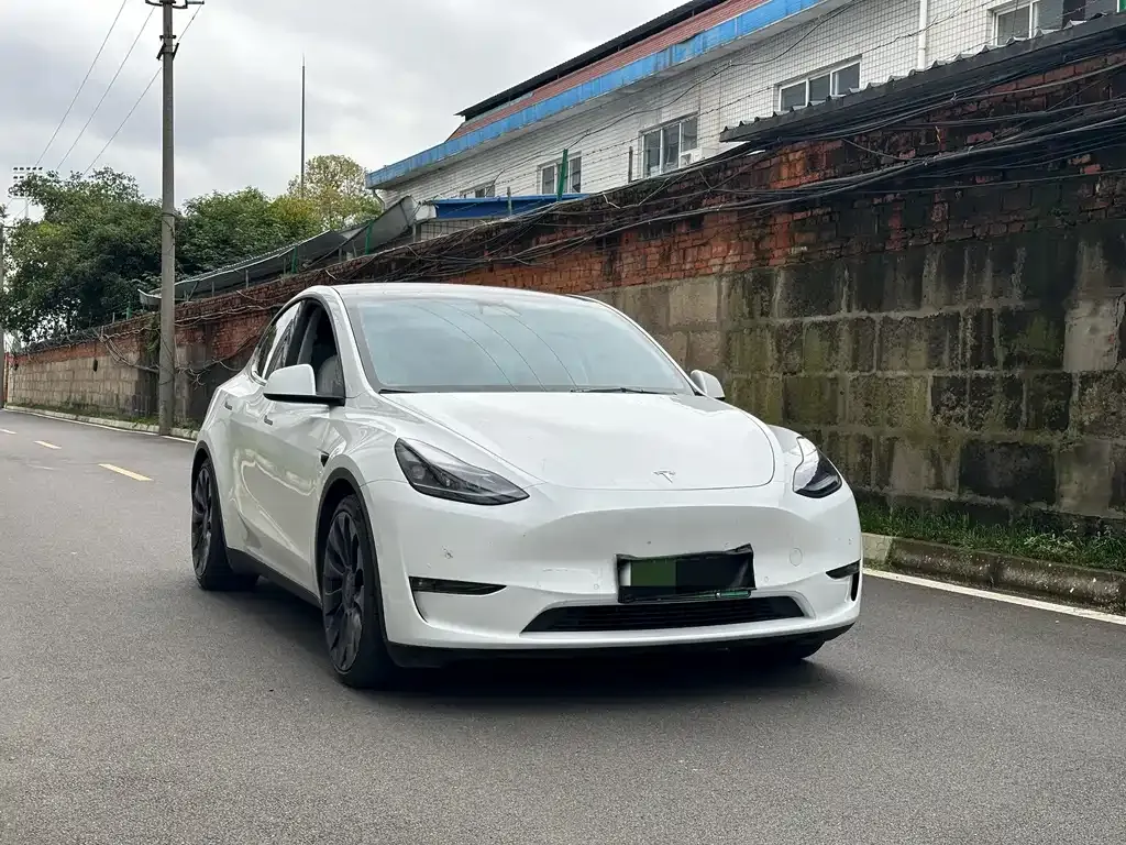 Tesla Model Y — фото 3