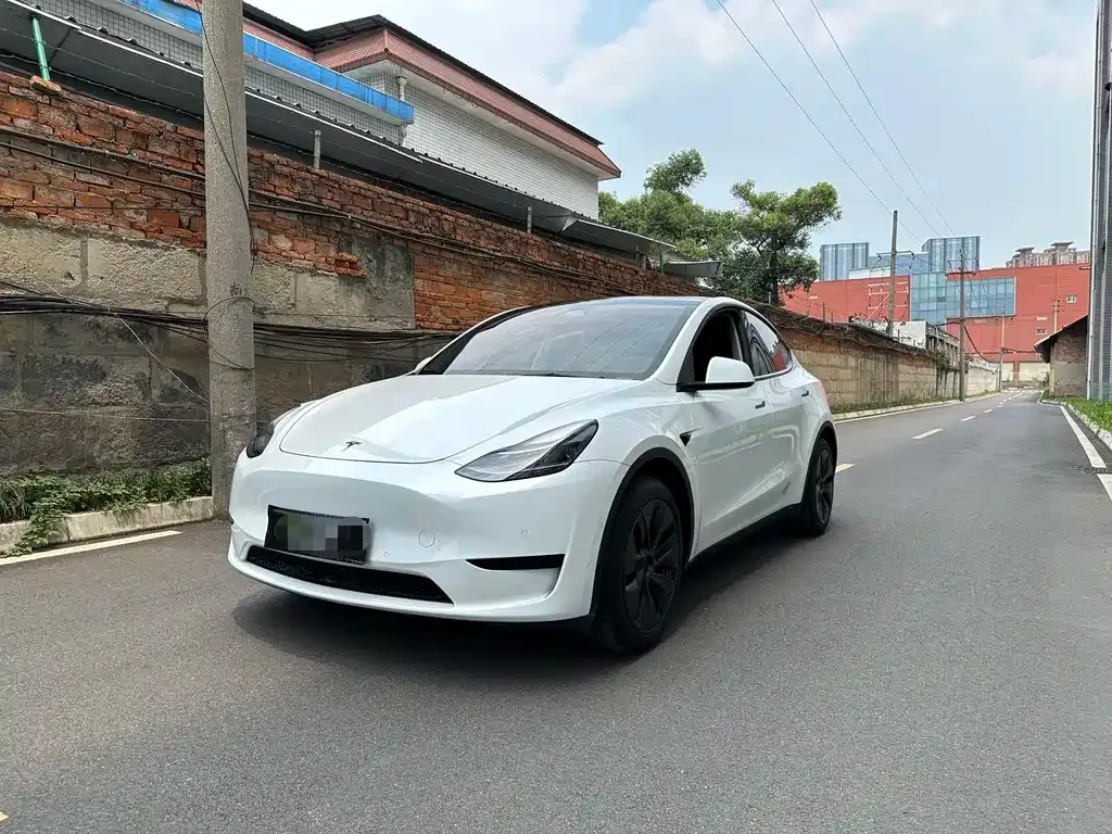 Tesla Model Y 2024 из CN, фото 1