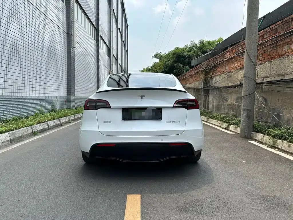 Tesla Model Y 2024 из CN, фото 10