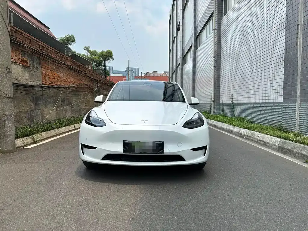 Tesla Model Y 2024 из CN, фото 2