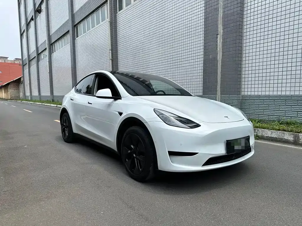 Tesla Model Y 2024 из CN, фото 3