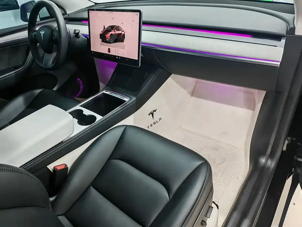 Tesla Model Y 2024 из CN, фото 6