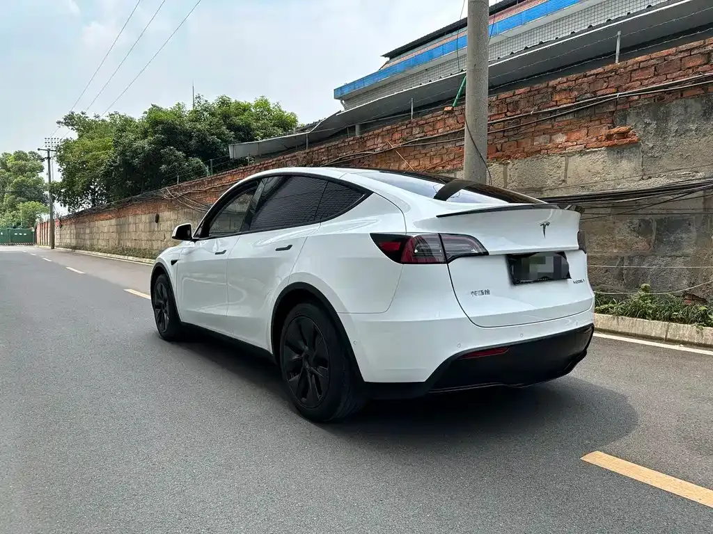 Tesla Model Y 2024 из CN, фото 9