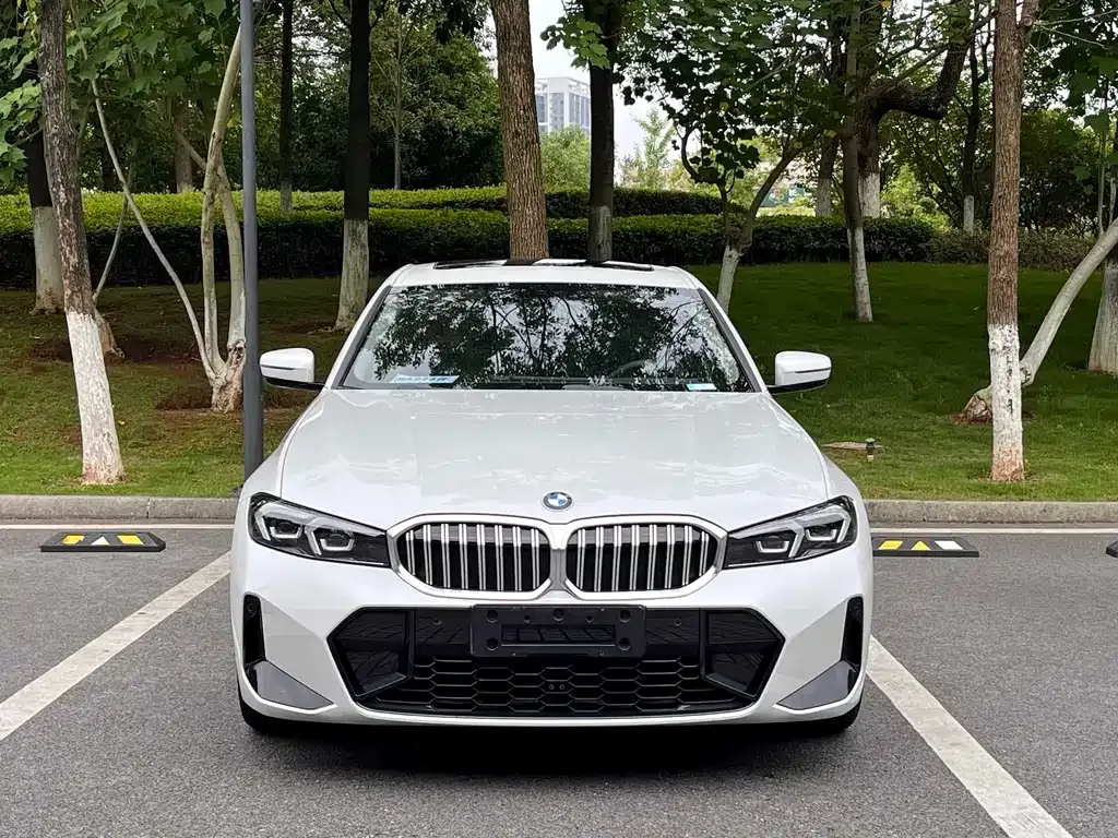 BMW 3 Series 2023 из CN, фото 2