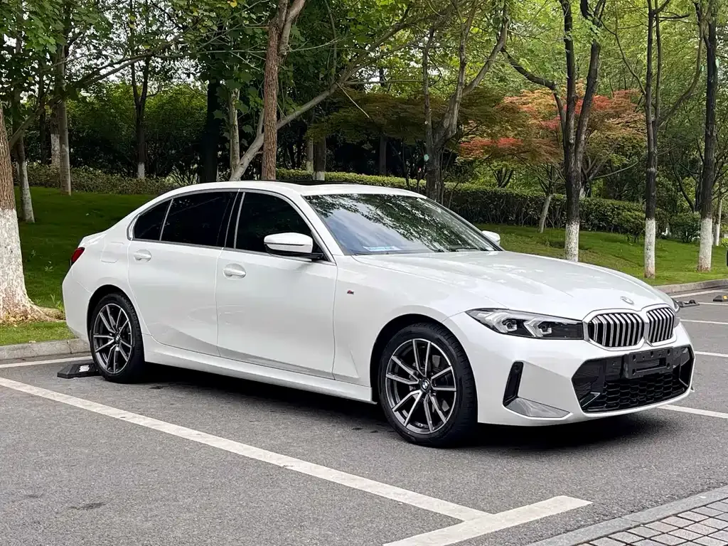 BMW 3 Series 2023 из CN, фото 3