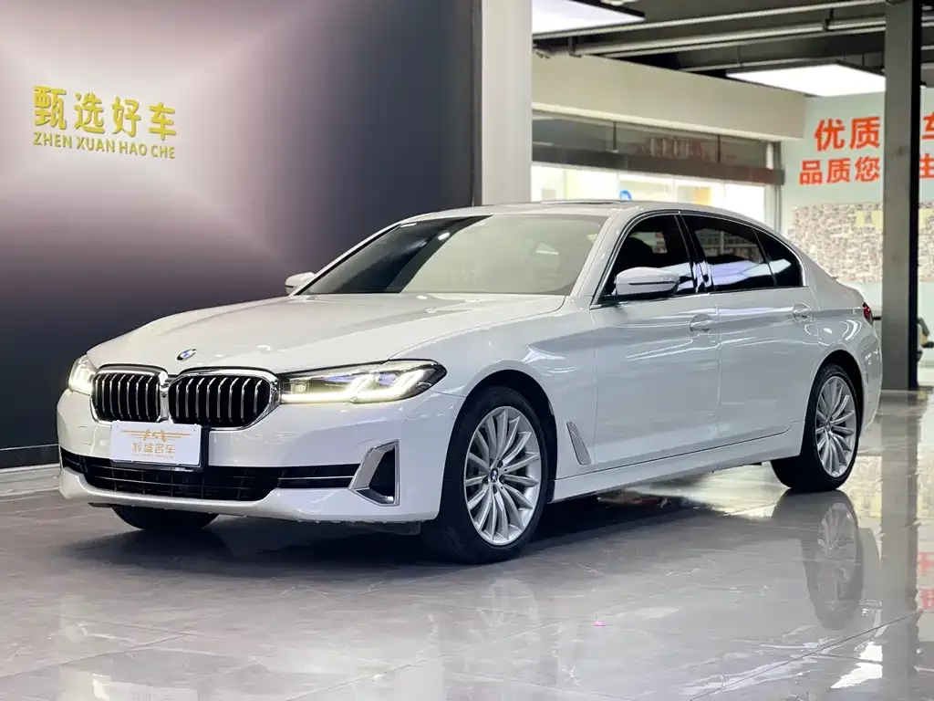BMW 5 Series 2022 из CN, фото 1