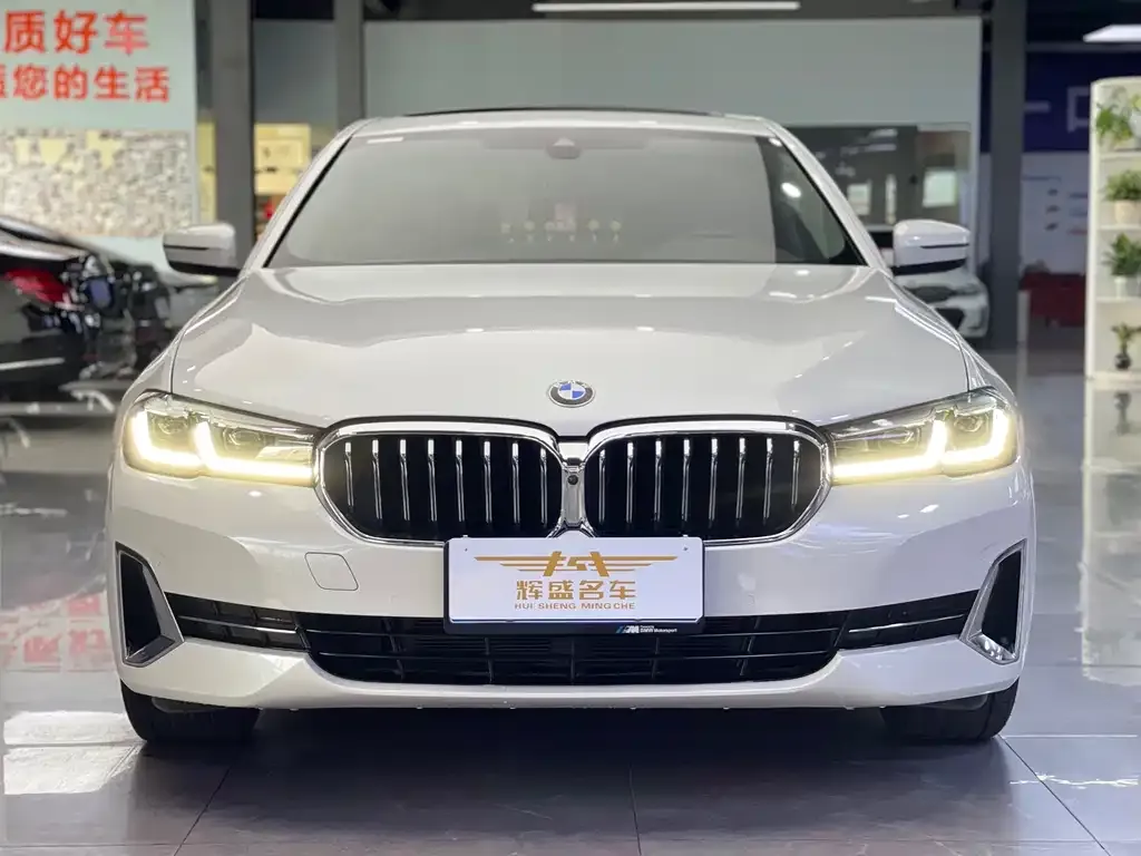 BMW 5 Series 2022 из CN, фото 2