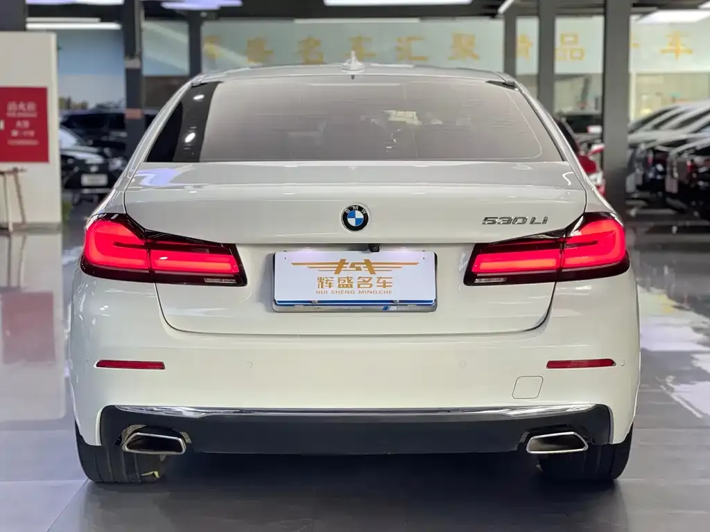 BMW 5 Series 2022 из CN, фото 4