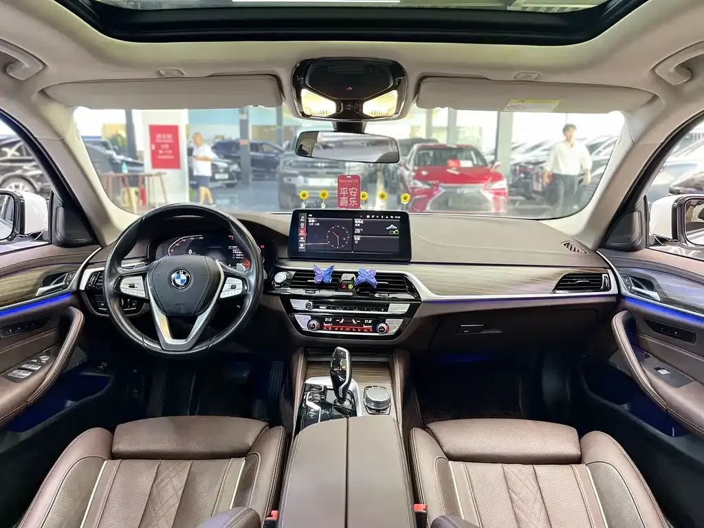 BMW 5 Series 2022 из CN, фото 9