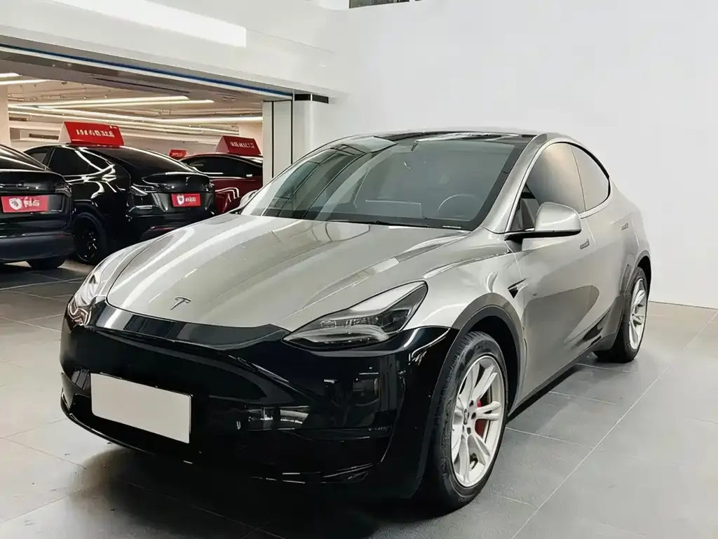 Tesla Model Y — фото 2