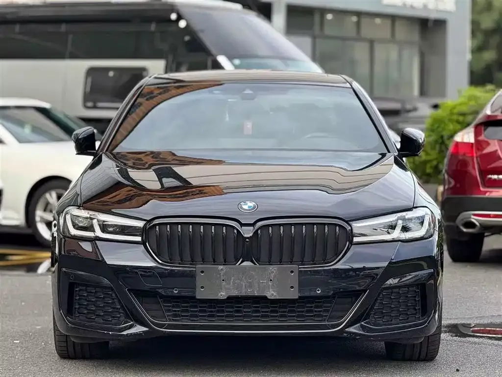 BMW 5 Series (Import) 2022 из CN, фото 3