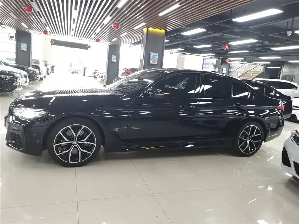 BMW 5 Series (Import) 2022 из CN, фото 5