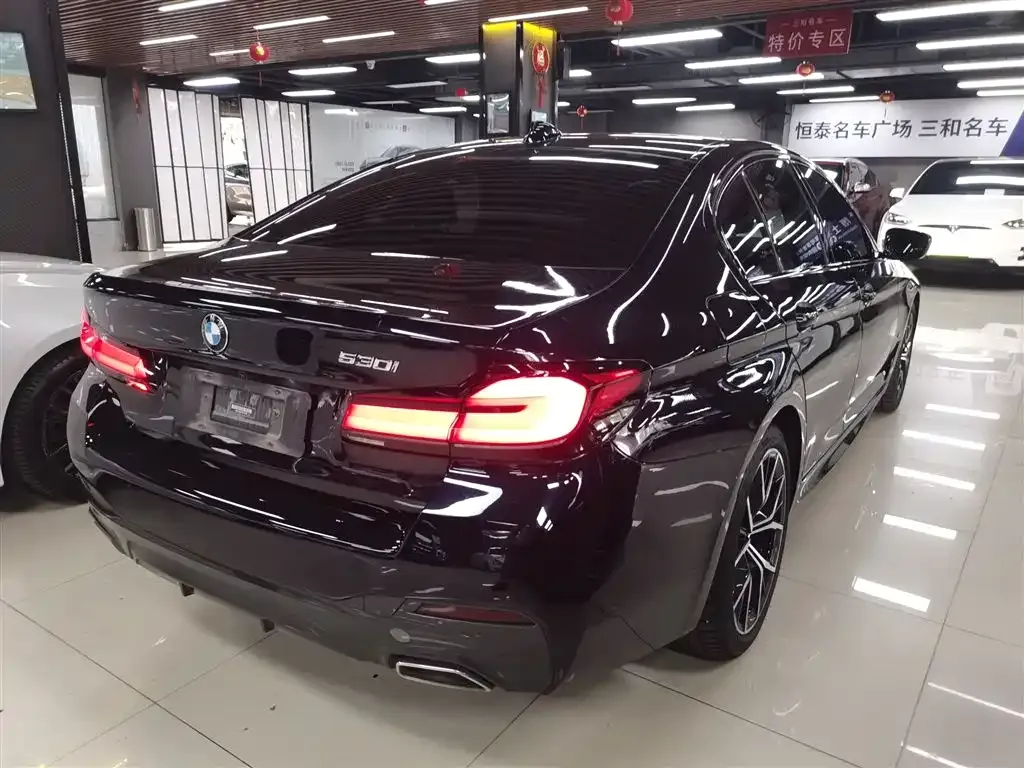 BMW 5 Series (Import) 2022 из CN, фото 7