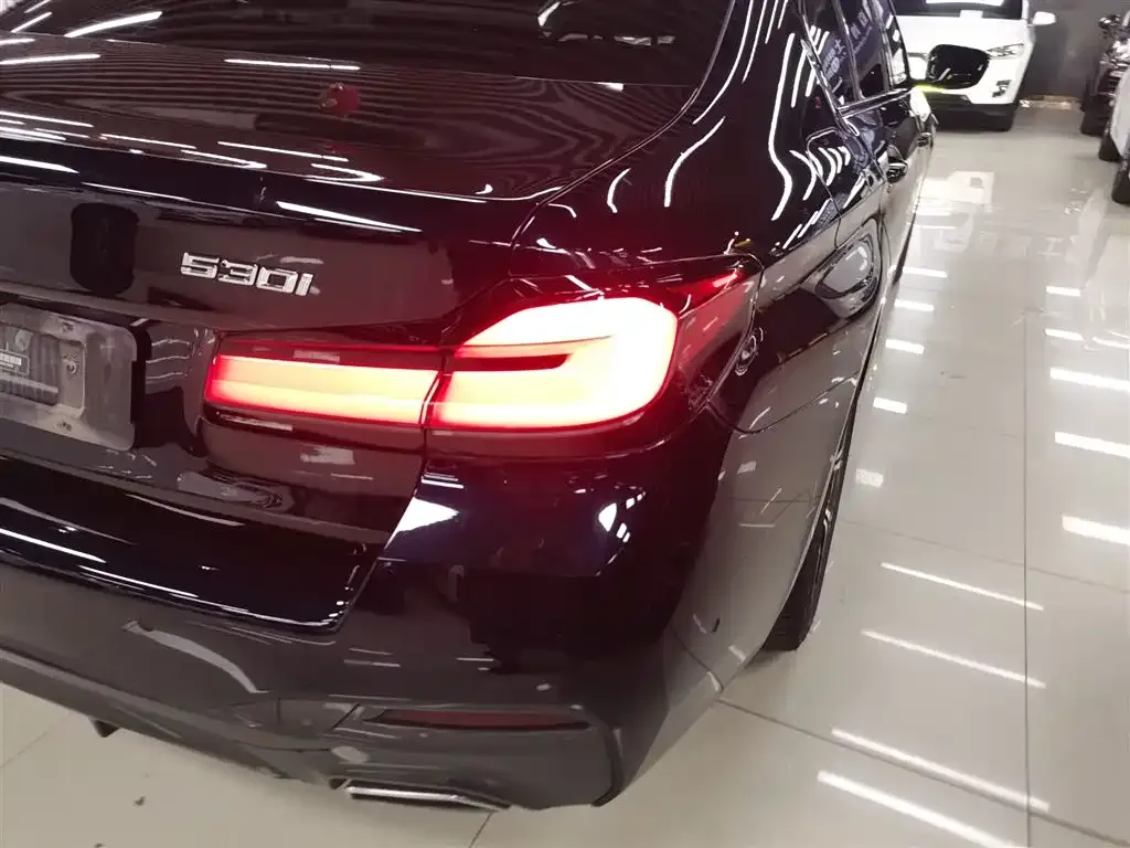 BMW 5 Series (Import) 2022 из CN, фото 8