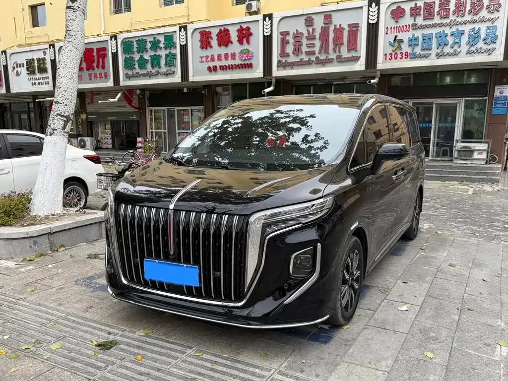 Hongqi HQ9 2023 из CN, фото 1