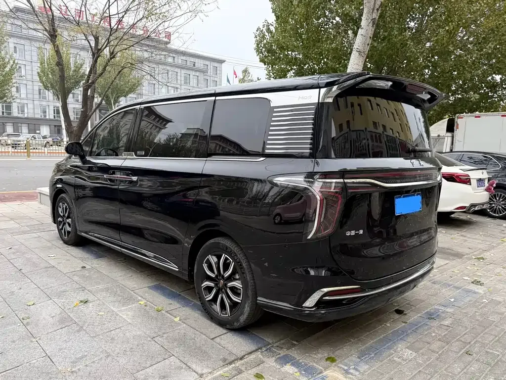 Hongqi HQ9 2023 из CN, фото 9