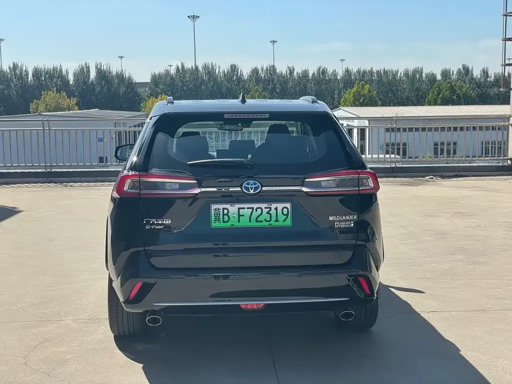 Toyota Wildlander New Energy 2023 из CN, фото 5