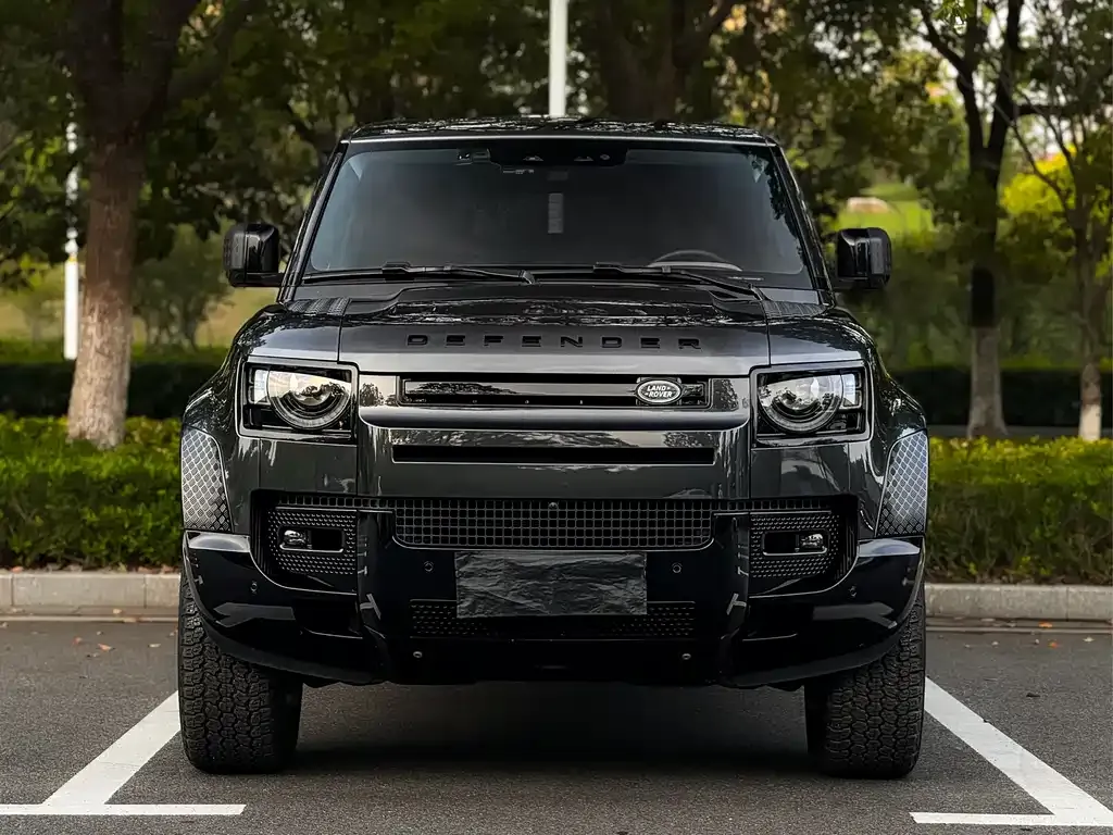 Land Rover Defender 2023 из CN, фото 3