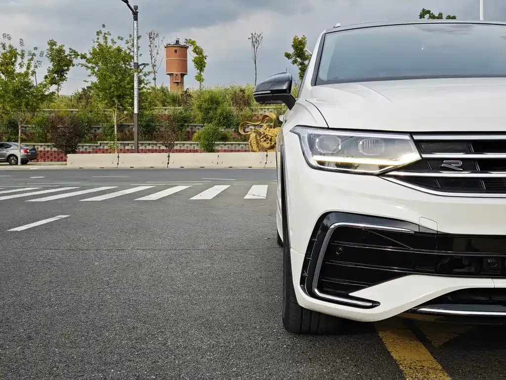 Volkswagen Tiguan X 2021 из CN, фото 4
