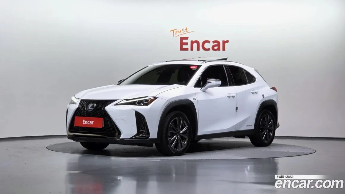 Lexus UX 2021 из KR, фото 1