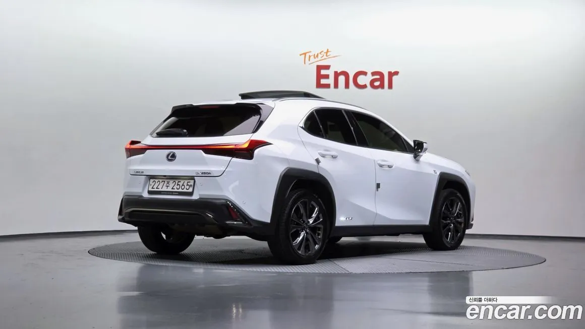 Lexus UX 2021 из KR, фото 2