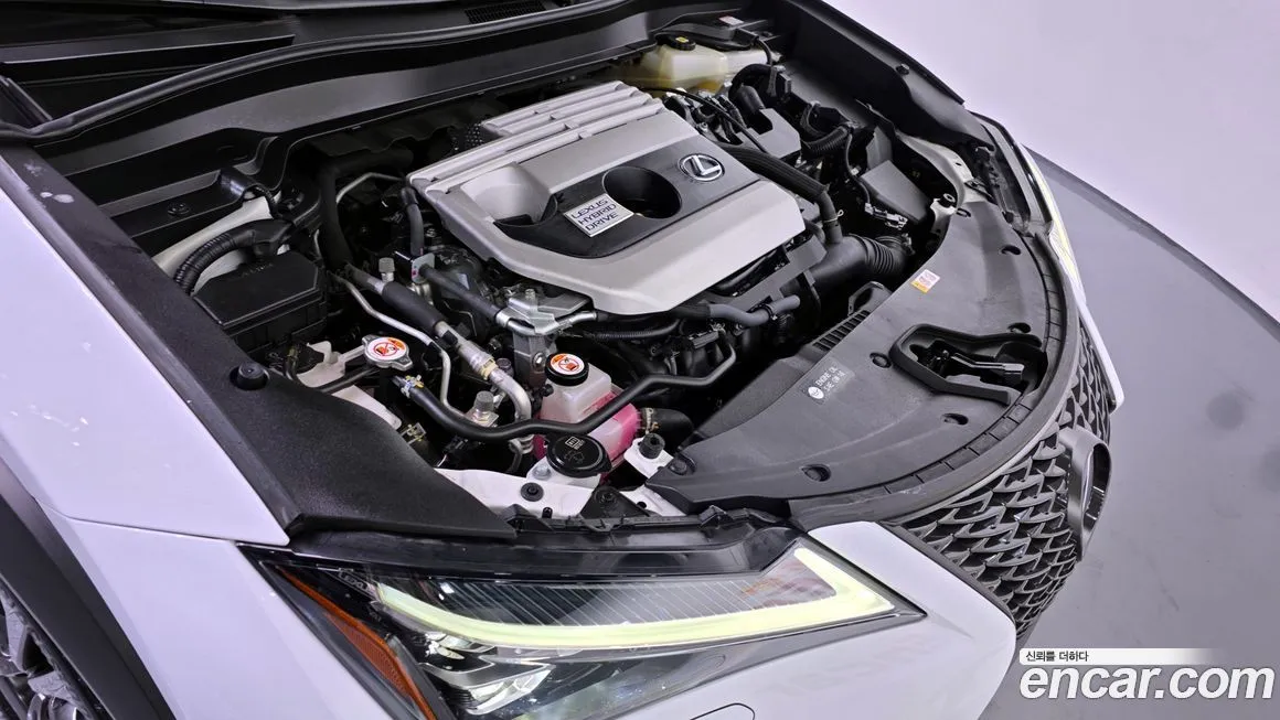 Lexus UX 2021 из KR, фото 6