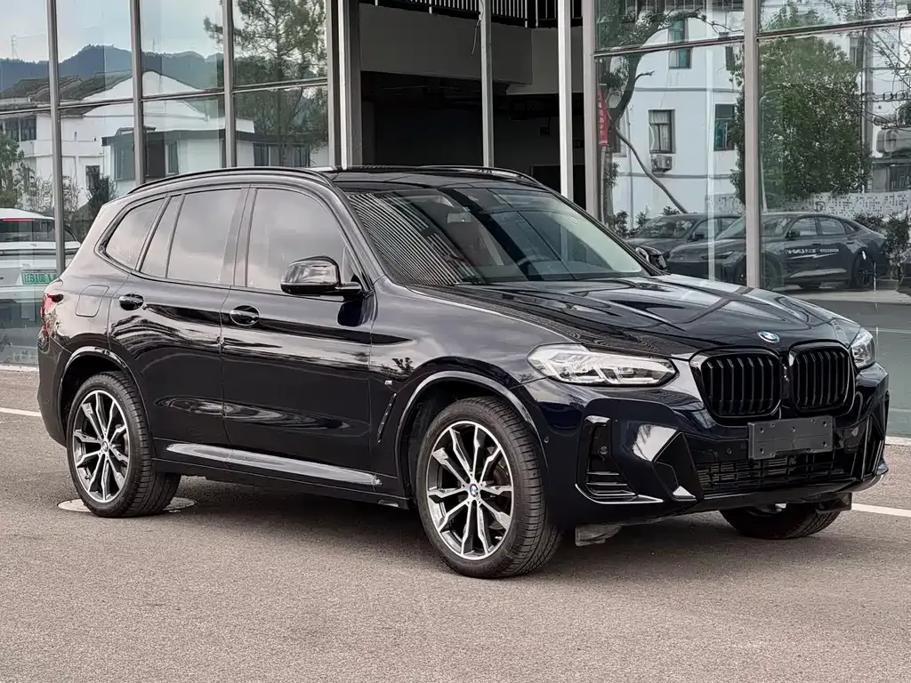 BMW X3 2023 из CN, фото 3