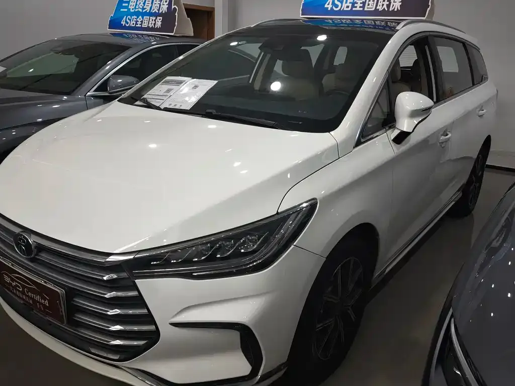 BYD MAX New Energy 2023 из CN, фото 1