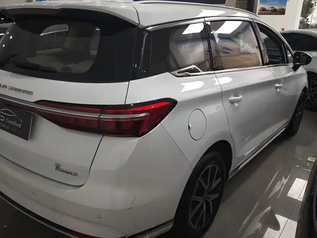 BYD MAX New Energy 2023 из CN, фото 2
