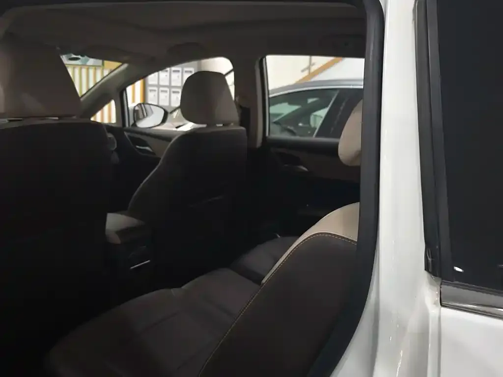 BYD MAX New Energy 2023 из CN, фото 5