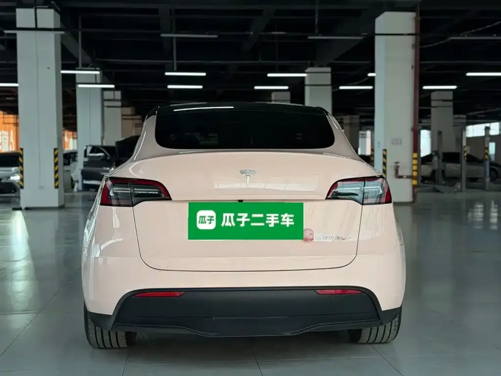 Tesla Model Y 2023 из CN, фото 6