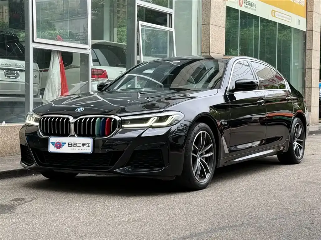 BMW 5 Series New Energy 2022 из CN, фото 1