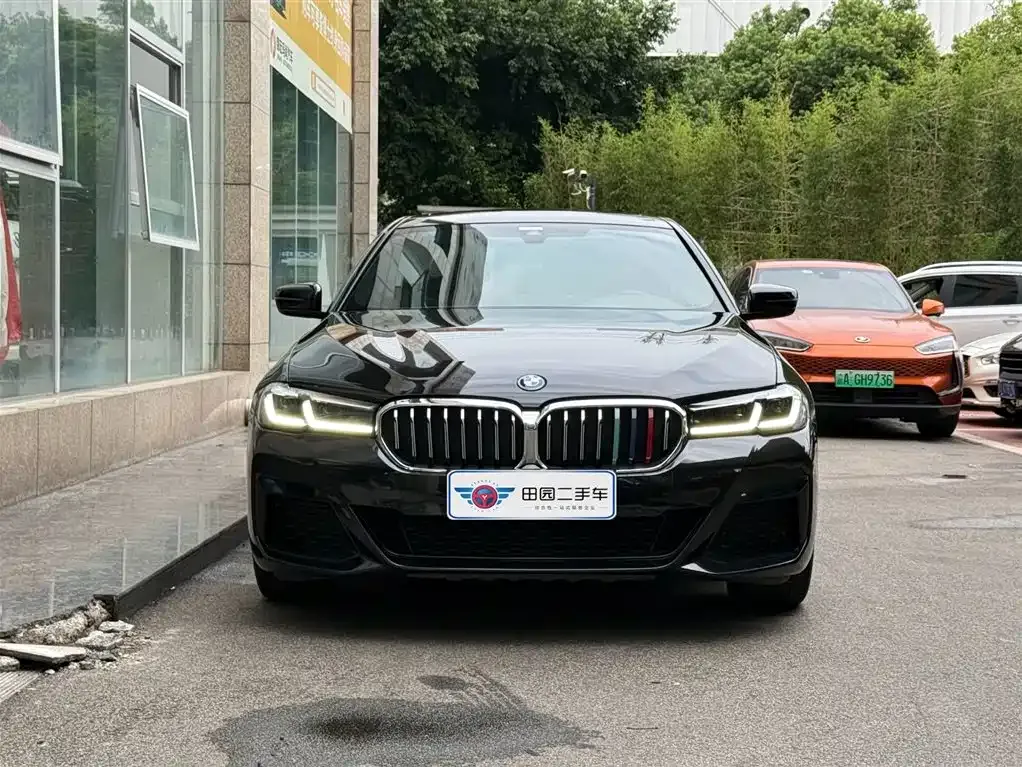 BMW 5 Series New Energy 2022 из CN, фото 2