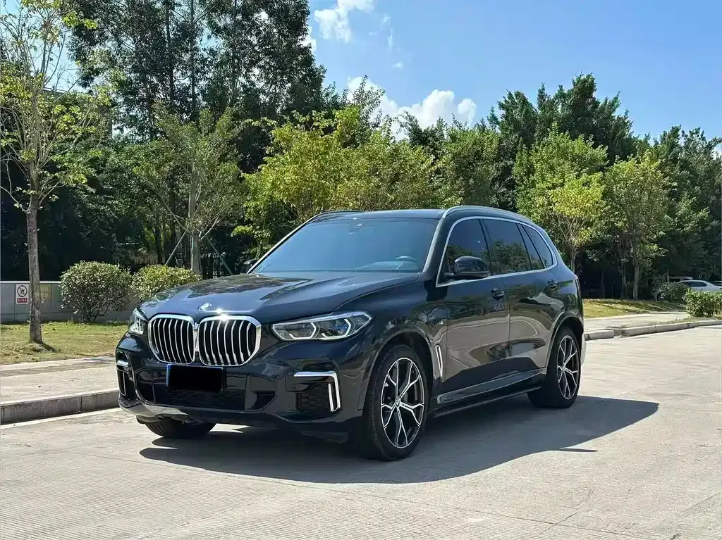 BMW X5 2023 из CN, фото 1