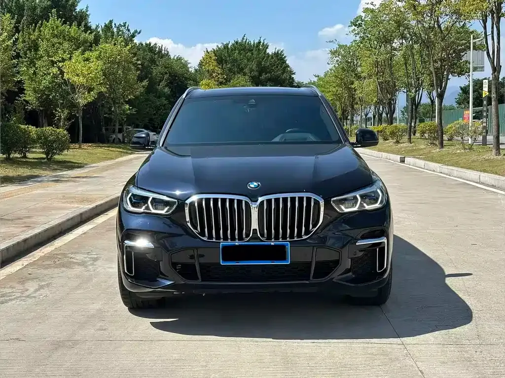 BMW X5 2023 из CN, фото 3