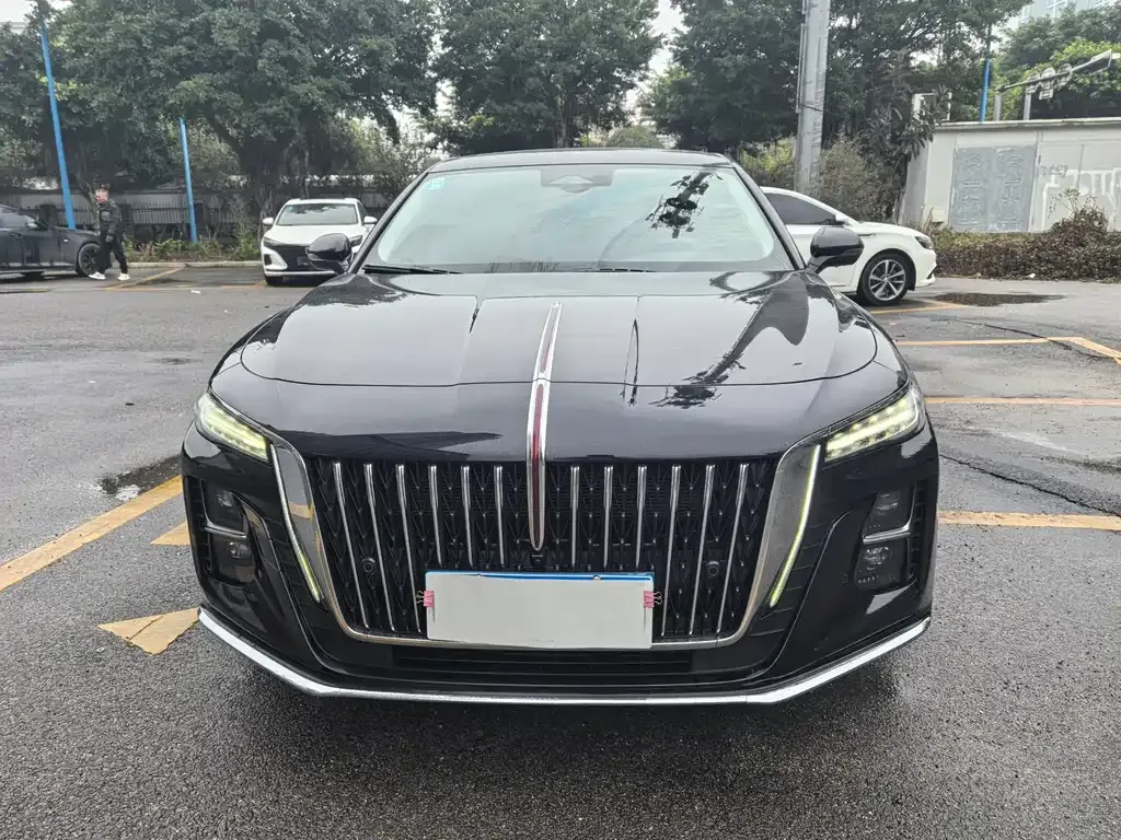 Hongqi H5 2023 из CN, фото 2