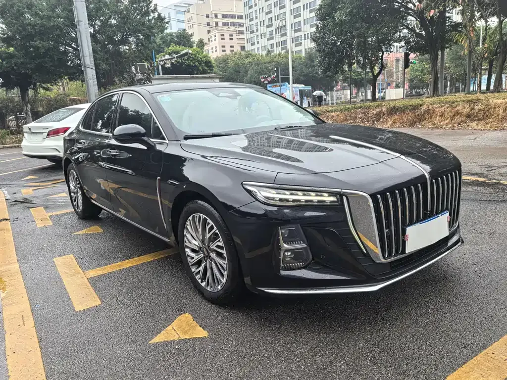 Hongqi H5 2023 из CN, фото 3