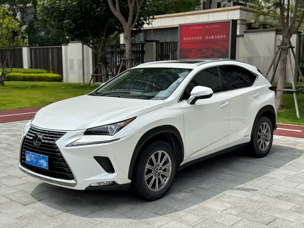 Lexus NX 2021 из CN, фото 1