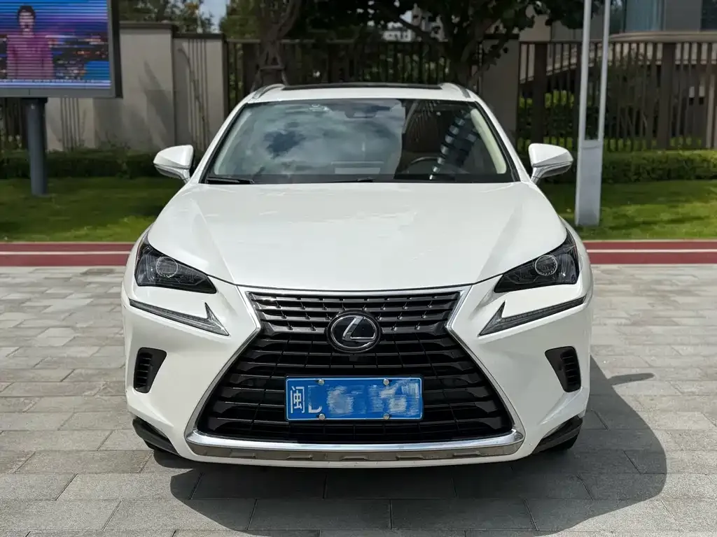 Lexus NX 2021 из CN, фото 2