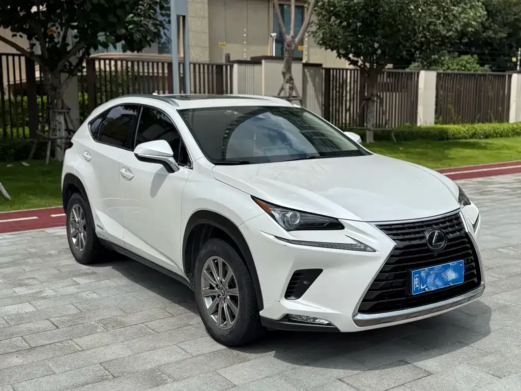 Lexus NX 2021 из CN, фото 3