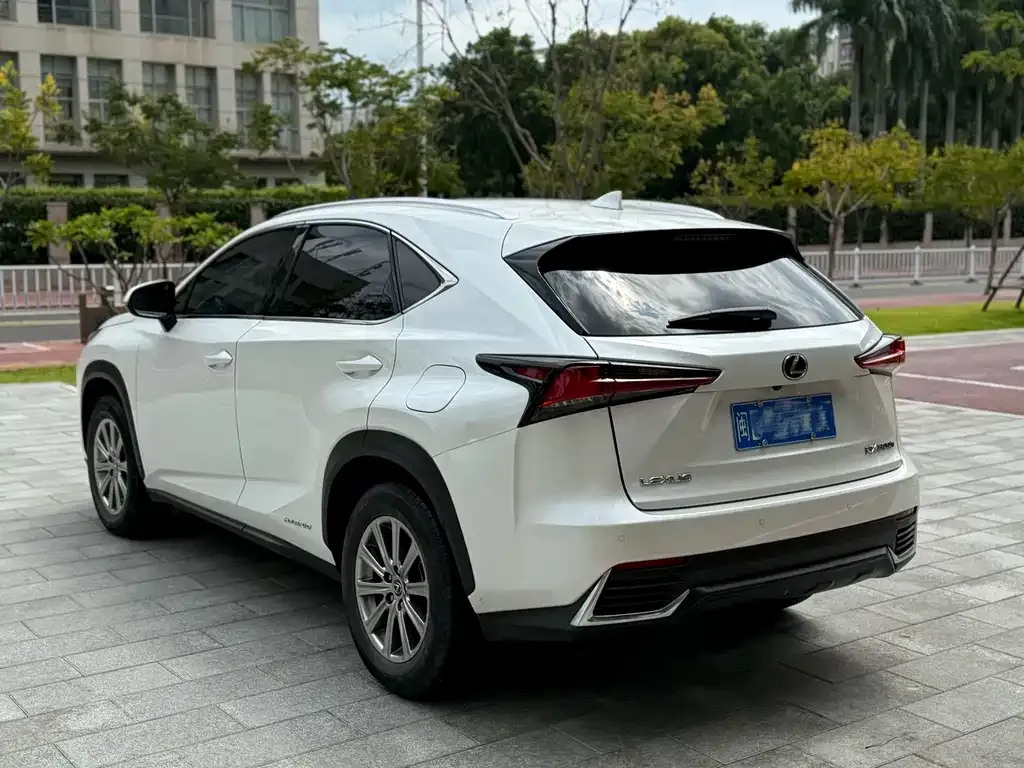 Lexus NX 2021 из CN, фото 4