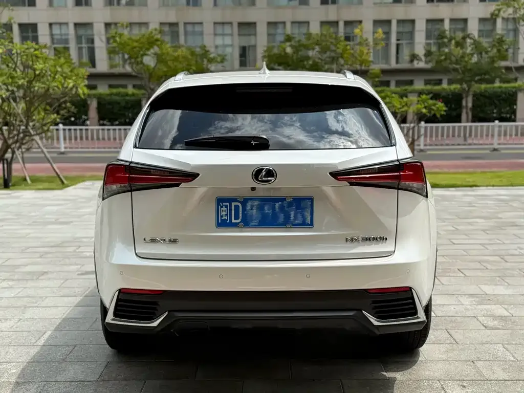Lexus NX 2021 из CN, фото 5