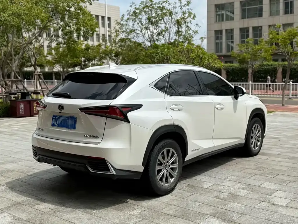 Lexus NX 2021 из CN, фото 6