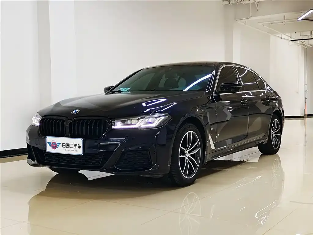 BMW 5 Series 2022 из CN, фото 1