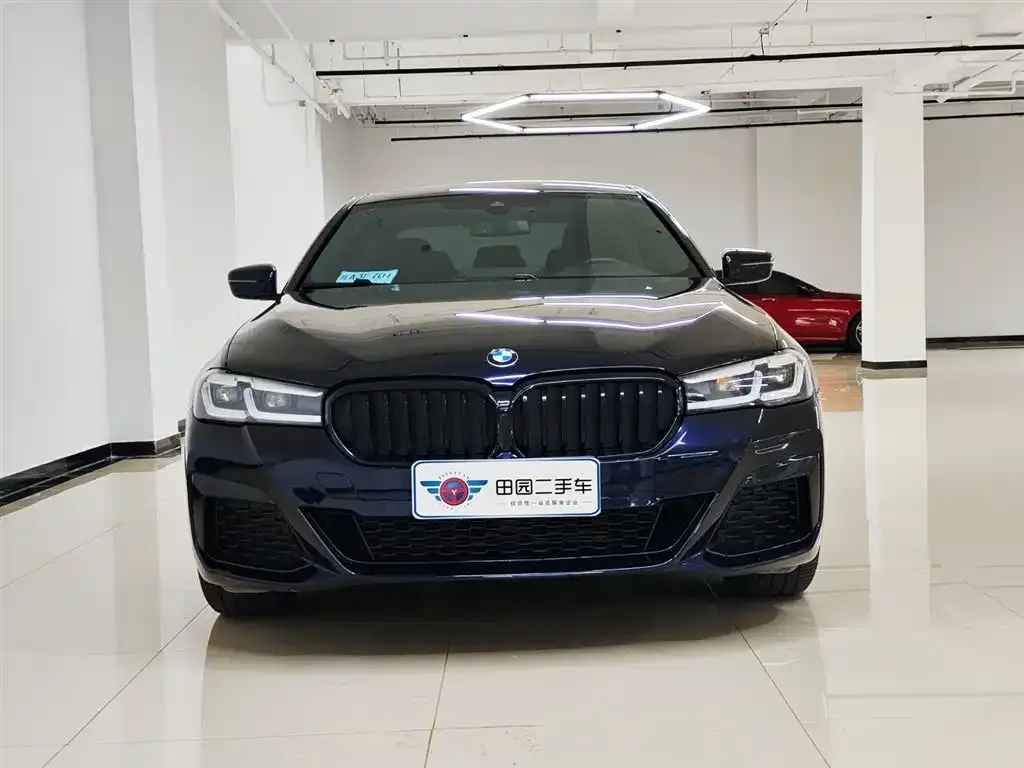 BMW 5 Series 2022 из CN, фото 2