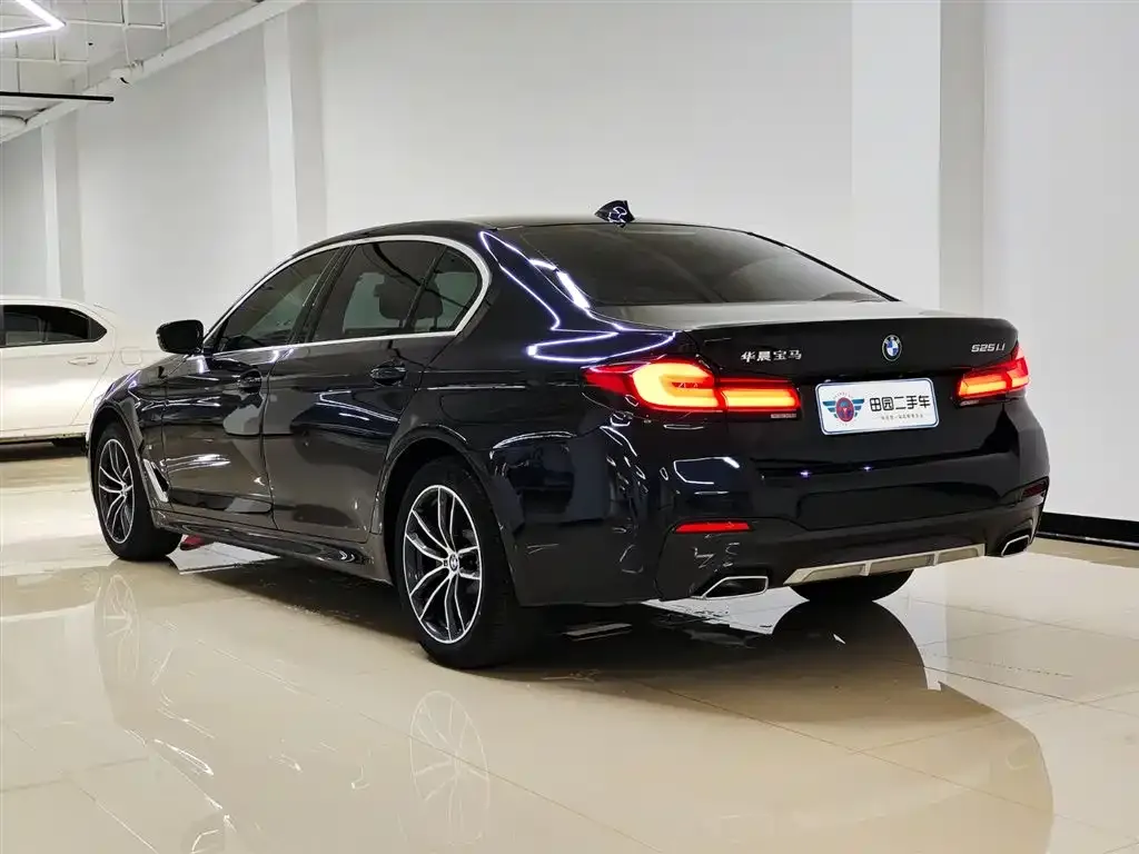 BMW 5 Series 2022 из CN, фото 4