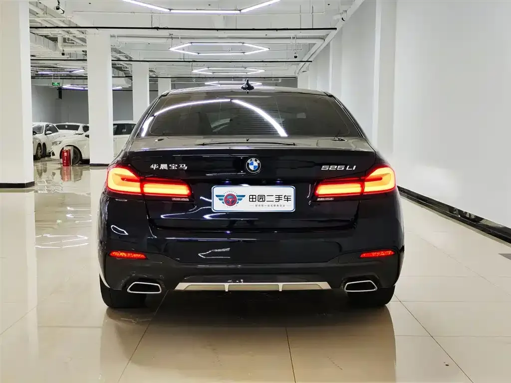 BMW 5 Series 2022 из CN, фото 5