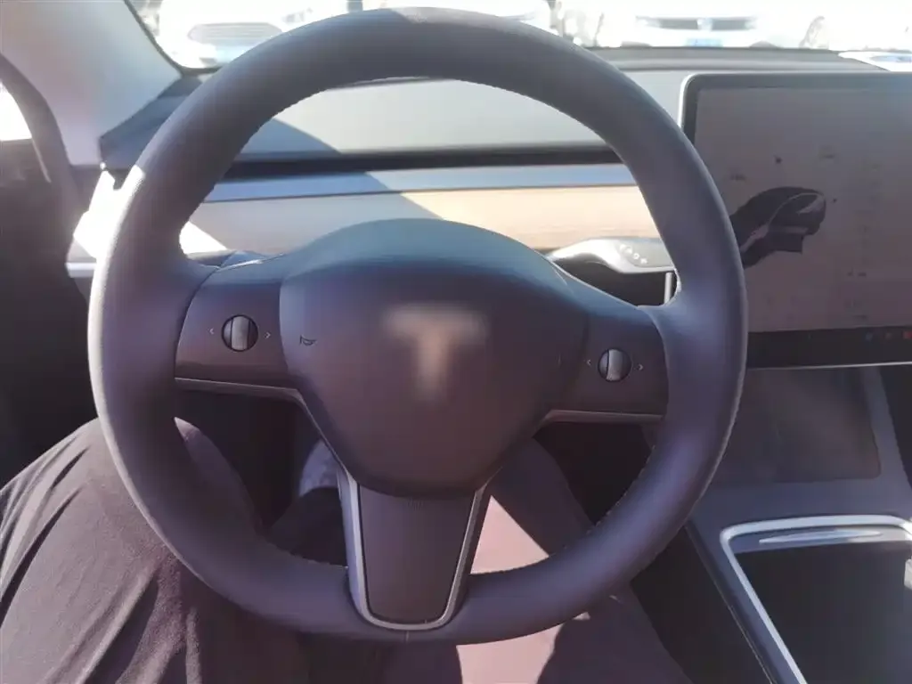 Tesla Model Y 2021 из CN, фото 10